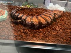 -三旗百汇商品城