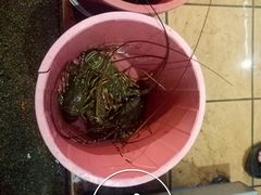 -量贩海鲜餐厅