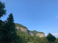 -重庆睡佛山森林公园