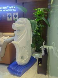 -洁铭新加坡医美