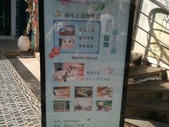 景点-猫咪博物馆(顶澳仔猫街店)