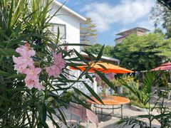 -天然居(伦教店)