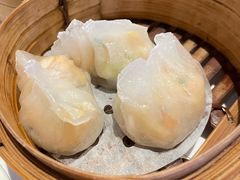 -食为先(Shark Fin)