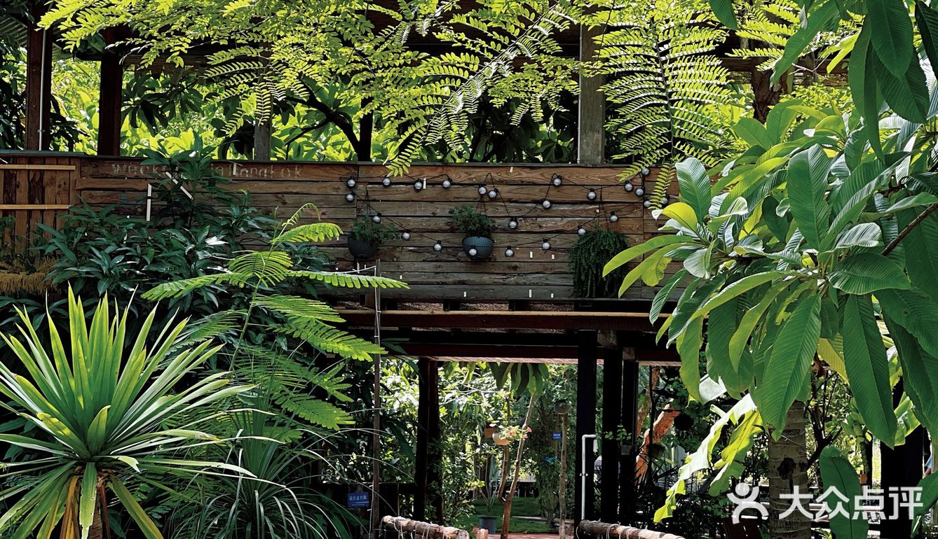 版纳周末遛娃约会的好去处 无意间发现的清迈风小院