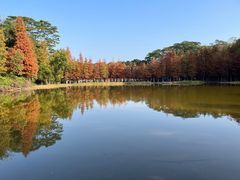 -番禺大夫山森林公园