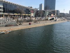 -海河游船-永乐码头(大悲院)
