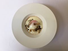 -蝶舍·MAISON PAPILLON