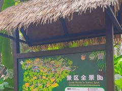 -海南热带野生动植物园