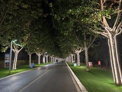 -渔岛海洋度假区