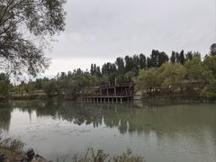 -伊犁河风景区