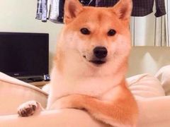 -如意馄饨(太平北路店)