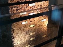 -南越王博物院(王宫展区)
