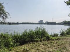 -大兴滨河森林公园