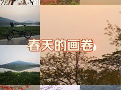 -风云岭森林公园