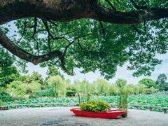-无锡蠡湖国家湿地公园-蠡园