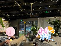 -百好乐宠物友好餐厅(朝外大街店)
