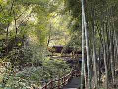 -藏龙百瀑风景区
