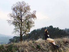 -塔川景区