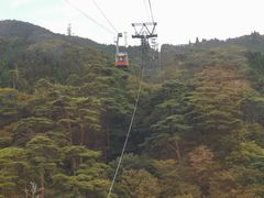 -神户市立六甲山牧场
