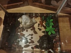 -金中环国际商务大厦