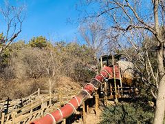 -北京西山国家森林公园