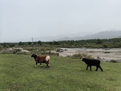 -新疆那拉提国家旅游度假区