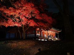 -醍醐寺