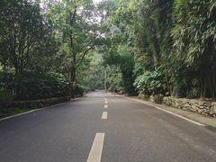 -贵州森林野生动物园