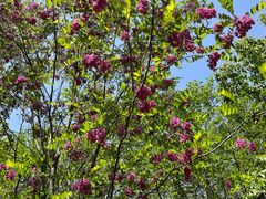 -西安汉城湖景区
