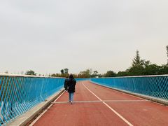 -白鹭湾湿地公园