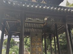 -泰州凤城河风景区-泰山公园