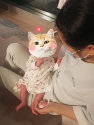 点击看大图 -baby bella小贝拉母婴护理中心(杭州凯宾斯基店)