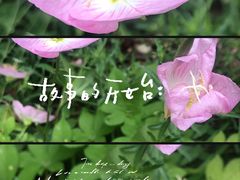 -国家植物园南园
