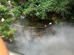 -青青世界