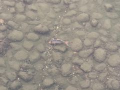 -天鹅湖体育公园