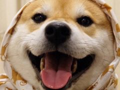 -古京·臻致料理(月湖店)