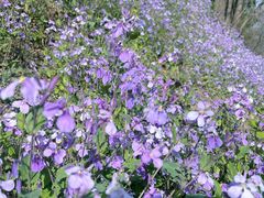 -青岛森林野生动物世界