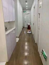 -YESIDO椰岛造型