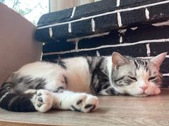 -王老六铁锅炖鱼(长春路店)