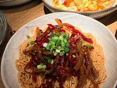 -凡人&庄阿姨的辣(万寿亭店)