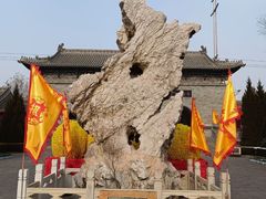 -大槐树寻根祭祖园