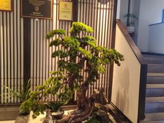 -溪畔•新徽菜(碧湖云溪店)