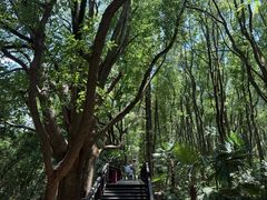 -同里国家湿地公园