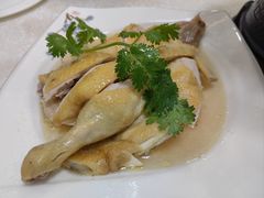 招牌盐水蒸鸡-明香海鲜酒家(华强北店)