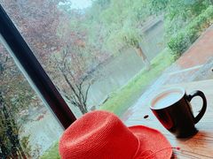 -D STAR COFFEE帝星咖啡