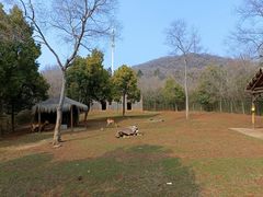 -合肥野生动物园