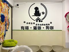 -有喵·猫咖·狗咖·40+猫狗有小奶狗(岗厦店)