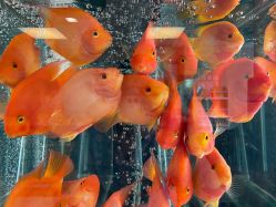 点击看大图 -杭州贝瑞斯美华妇儿医院·早孕·产检·儿科