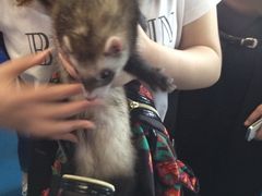 iphone_upload_pic-东浩兰生上海世博展览馆