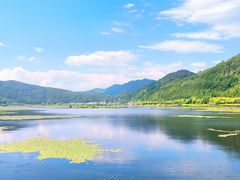 -腾冲北海湿地